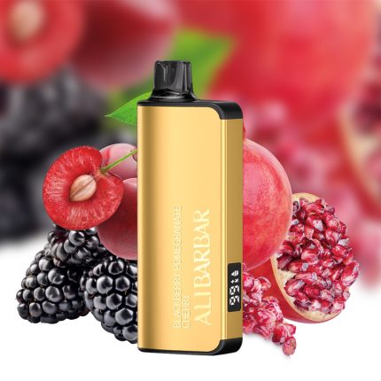 ALIBARBAR Ingot 9000 Puff Vape - Blackberry Cherry Pomegranate